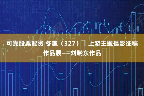 可靠股票配资 冬趣（327）｜上游主题摄影征稿作品展——刘晓东作品