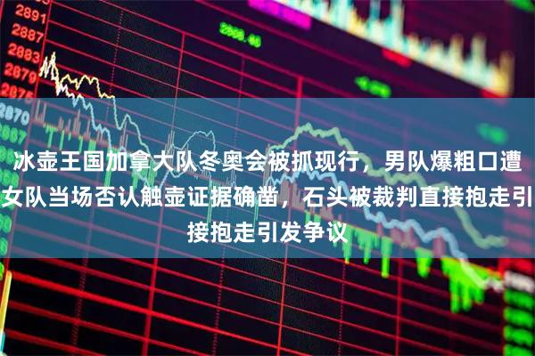 冰壶王国加拿大队冬奥会被抓现行，男队爆粗口遭指责，女队当场否认触壶证据确凿，石头被裁判直接抱走引发争议