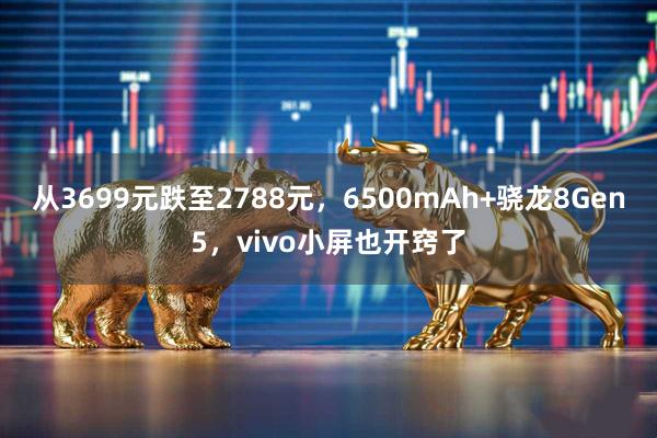 从3699元跌至2788元，6500mAh+骁龙8Gen5，vivo小屏也开窍了