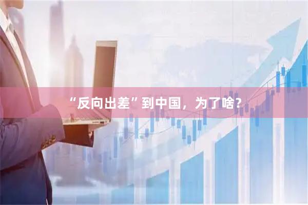 “反向出差”到中国,为了啥?